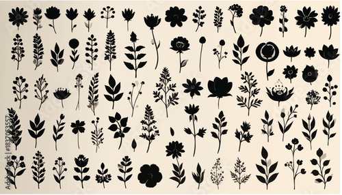 Silhouette flowers and leaves on a beige background