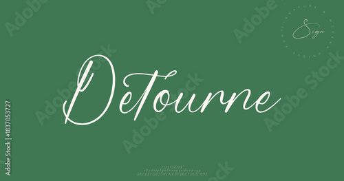 A flowing handwritten script with artistic curves and a smooth modern charm.