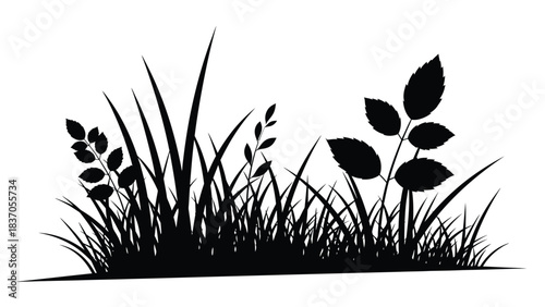 Silhouette of Grass and Leaves on White Background grass, silhouette, leaves, plants