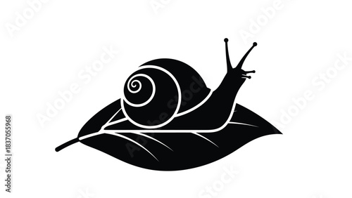 Snail Silhouette on Leaf insect creature