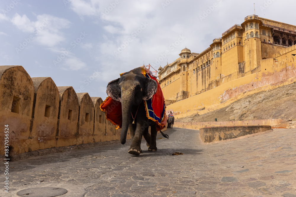 Naklejka premium Portrait of unidentified tourist riding on decorated elephant at the premises of amber fort at jaipur. Architecture view of amber fort at background.