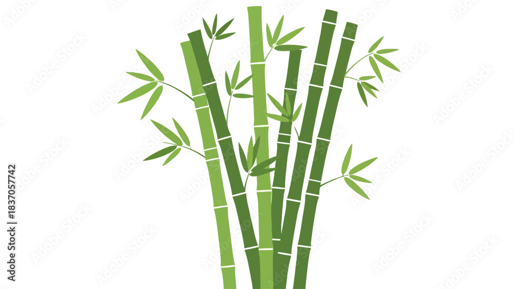 Obraz premium A cluster of green bamboo stalks with leaves