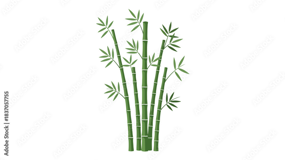 Obraz premium A cluster of green bamboo stalks with leaves against a white background
