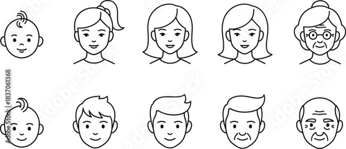 Human life stages: a visual representation of aging from infancy to old age for both genders