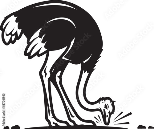 A Beautiful Ostrich Bird