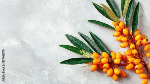 Fresh sea buckthorn berries with green leaves on marble background