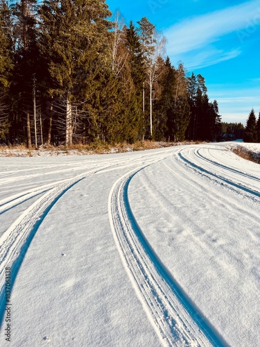 tire tracks on a country road