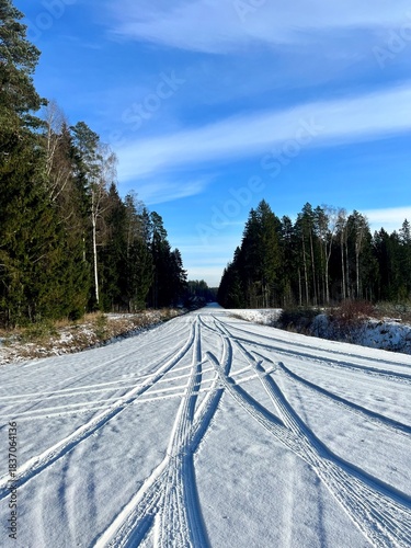 tire tracks on a country road