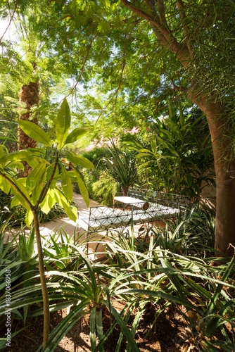 Fotografía Jardin secret, Médina, Marrakech, Maroc