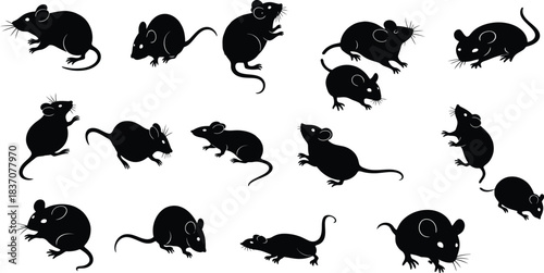 Collection of black mouse silhouettes in various poses on a plain white background
