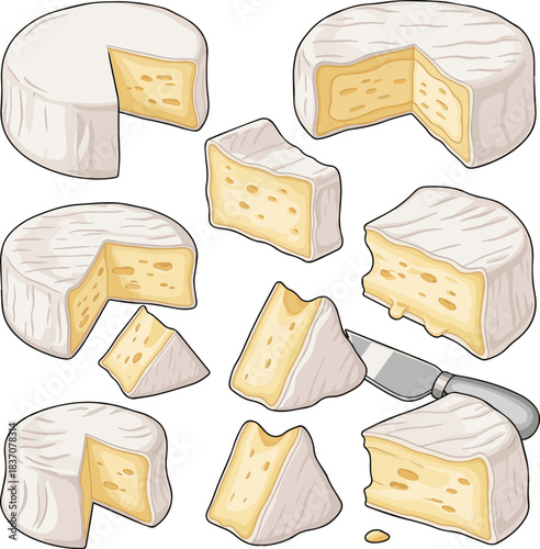 Create a kinds of deferent Camembert cheese wheel slice Vector art with a white background..