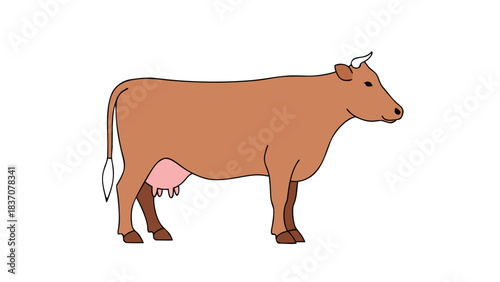 A Full Body Brown Cow Standing Facing Right With Udder and White Tail Tip on Black Background Simple Flat Illustration