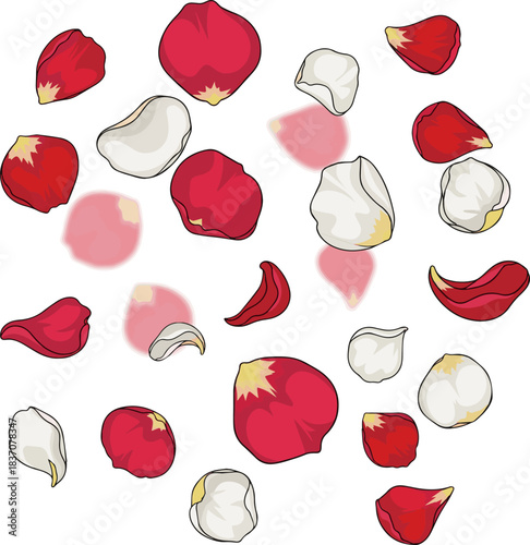 Create a kinds of deferent Falling rose petal Vector art with a white background..