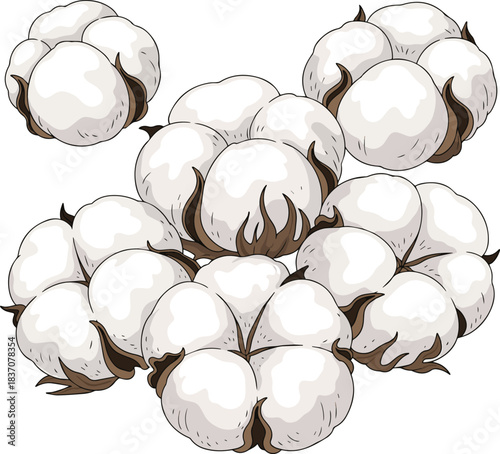 Create a kinds of deferent Fluffy cotton bolls vector art with white background..