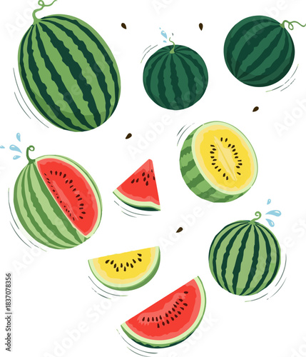 Create a kinds of deferent Falling watermelon vector art with white background..