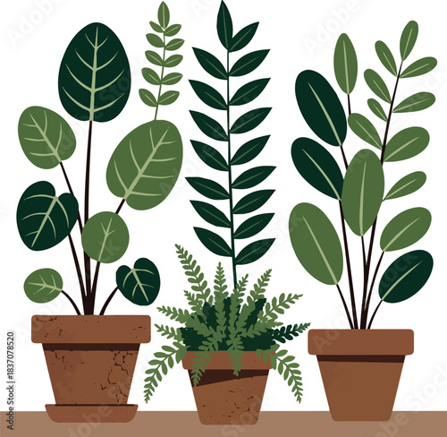 Create a kinds of deferent Green houseplant in terracotta pot vector art with white background.