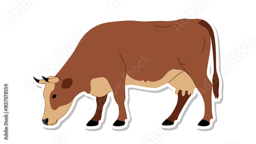 A Brown Cow Grazing Peacefully in a Field with Black and White Accents on a Transparent Background