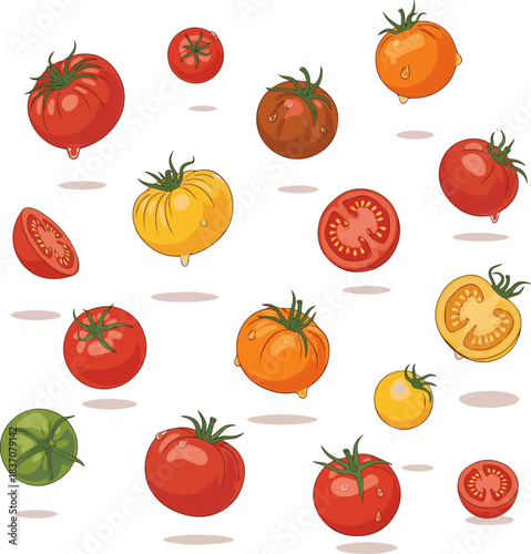 Create a kinds of deferent natural Tomatoes in flight vector art with white background.