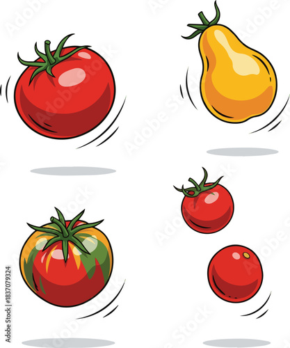  Create a kinds of deferent Tomatoes in flight vector art with white background..