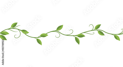 Seamless green vine with leaves and tendrils forming a beautiful horizontal border element for decoration on a white background.