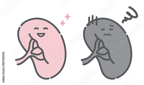 健康な脾臓と不調な脾臓の比較イラスト（キャラクター・免疫機能）