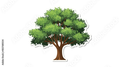 A Lush Green Tree with a Thick Trunk and a Full Canopy of Leaves Against a Transparent Background