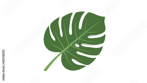 A Single Large Green Monstera Leaf Isolated on a Black Background With White Outline and Subtle Shadow