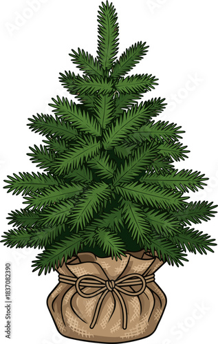 Create a kinds of deferent small Christmas tree with green needles is wrapped in a rustic burlap sack with a simple twine bow, vector art with white background..
