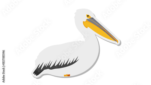 A White Pelican with Yellow Accents on its Beak and Gray Wing Tips Posed Against a Stark Black Background in a Simple Graphic Style