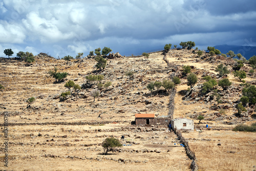 Pasture on a rocky hillside on the island of Lesbos, Greece
