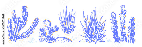 Cactus, agave crayon set. Succulent hand drawn