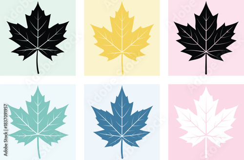 maple vector