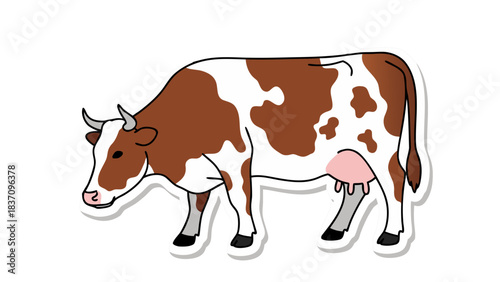 Brown and White Holstein Friesian Dairy Cow With Udder Grazing Outdoors on a Farm With White Outline and Black Background Ideal for Agricultural Illustrations