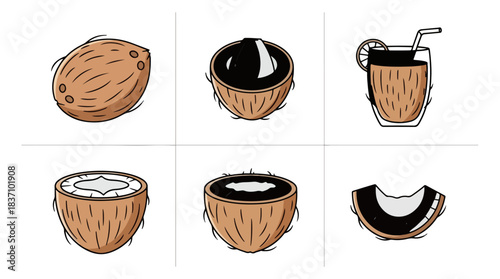 Coconut fruit illustrations showing whole fruit cross sections and beverage