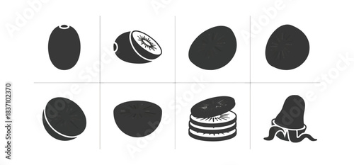 Kiwi fruit illustration whole sliced and sections depicted with outline style