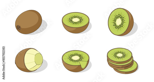 Kiwi fruit illustration whole halved and sliced presentation
