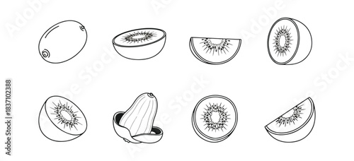 Kiwi fruit illustrations isolated on black background for design