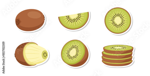 Kiwi fruit slices vector illustration against black background