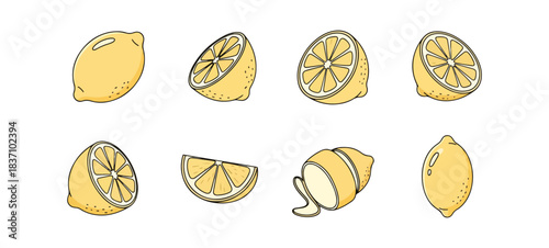 Lemon illustration set various stages whole sliced segmented