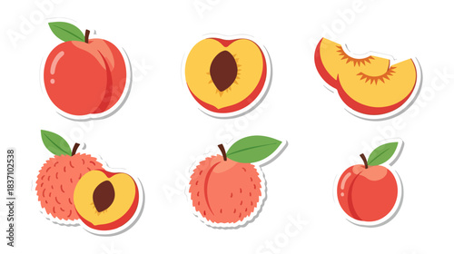 Peach fruit illustrations assortment isolated on black background