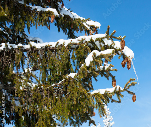 Ski resort Pamporovo in the Rhodopes mountaines in Bulgaria