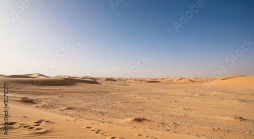 Vast expanse of a desert landscape under a clear, bright sky. Dunes and scattered rocks dominate the scene