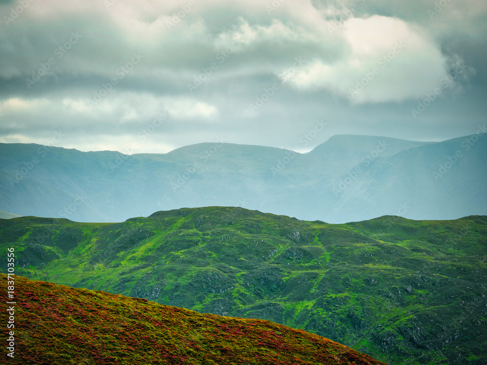 Fototapeta premium A serene view of a lush hillside leading to distant mountains.