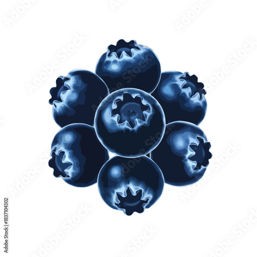 A close up macro photograph of a small cluster of seven ripe dark blue blueberries arranged in a circular pattern isolated on white background