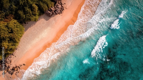 A sandy beach stretches along the shore where clear blue water meets the sand. Waves gently roll onto the beach while trees provide shade nearby. This scene captures the essence of summer.