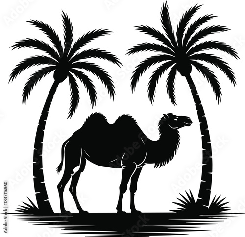 Silhouette of a Camel Between Two Palm Trees