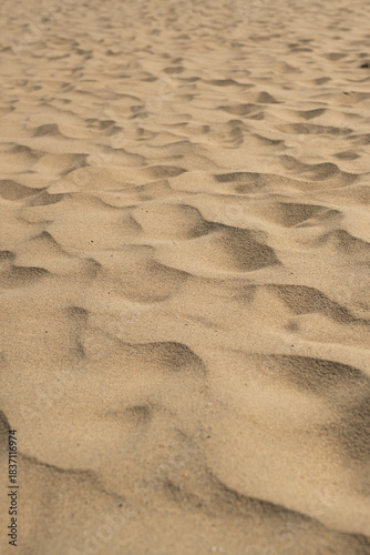 Tottori sand dunes, Tottori, Japan