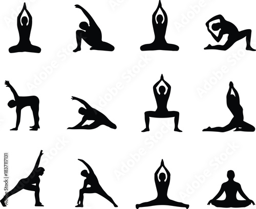 Silhouettes of People Performing Various Yoga Poses