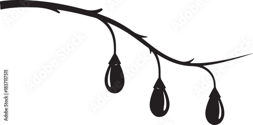 Branch with Three Hanging Droplets Black and White