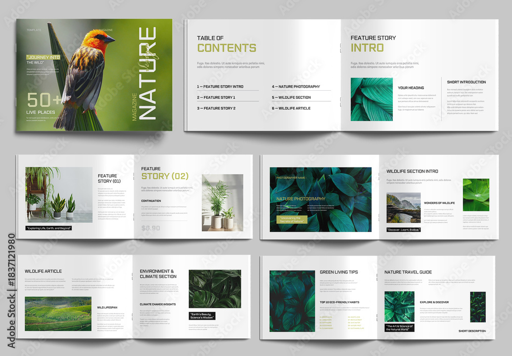 Nature Magazine Layout Examples Natural Magazine Layout Template Stock Template | Adobe Stock